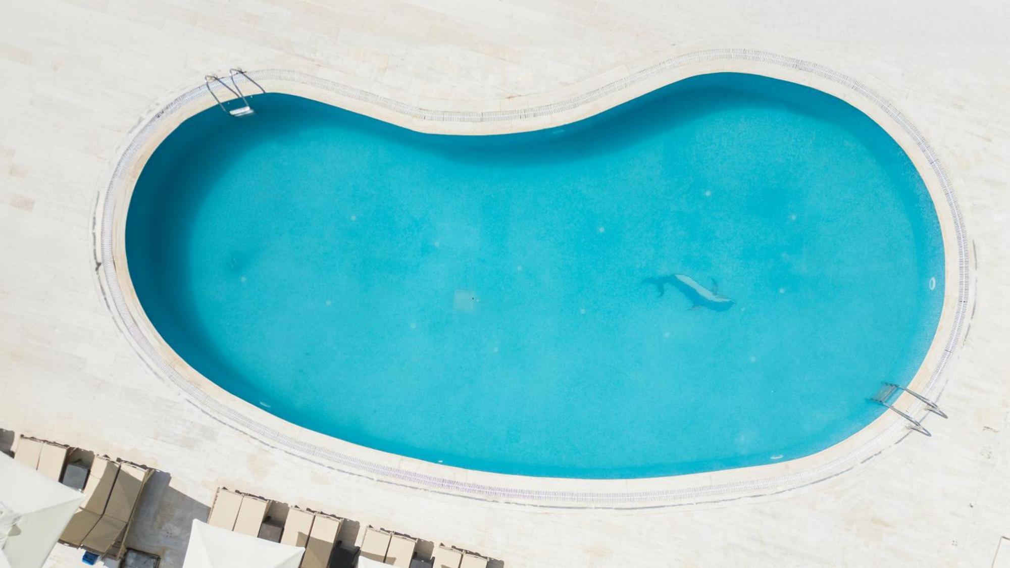 Salinas Beach Hotel Bodrum-Boutique Concept Gumbet Exterior photo